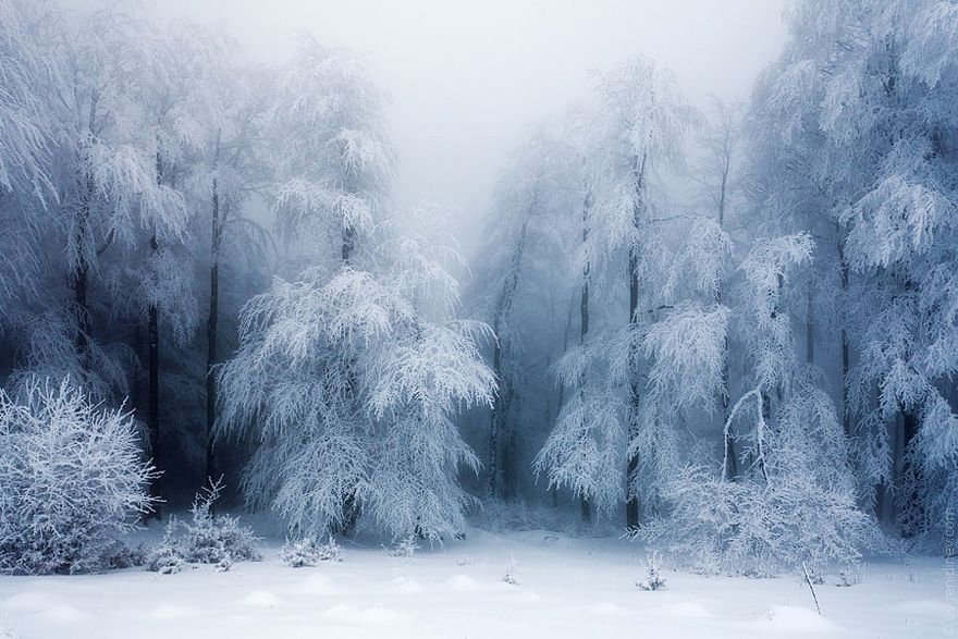 寒冷冰雪 冬季绝美景象这样拍