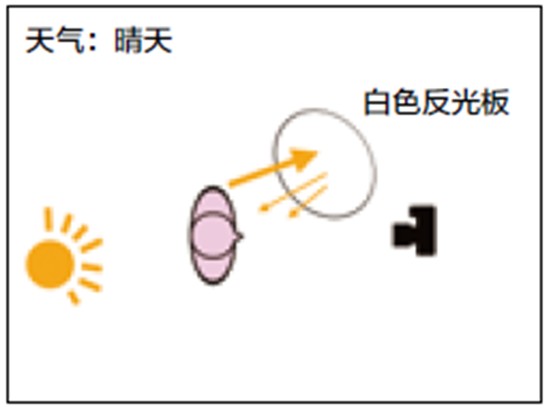 毕业季如何拍好校园人像留影