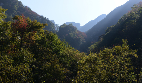 大别山区首家国家级摄影创作基地落户