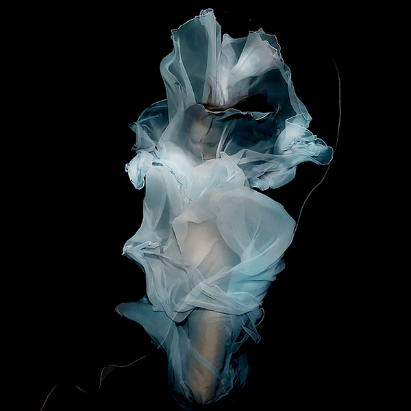 Gabriele Viertel的水下摄影作品