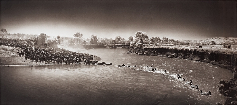 Nick Brandt：震撼心灵的史诗级动物肖像