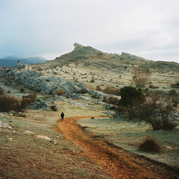 Antoine Bruy 灌木地带