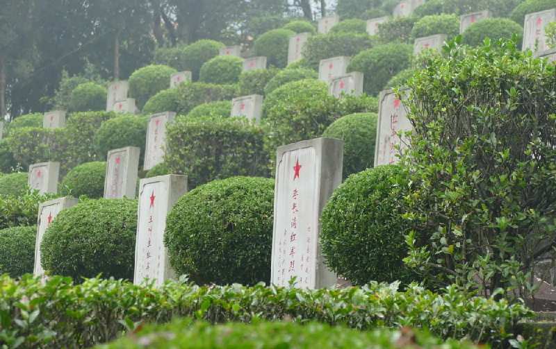 全国主流媒体聚焦赤水大型采风活动剪影