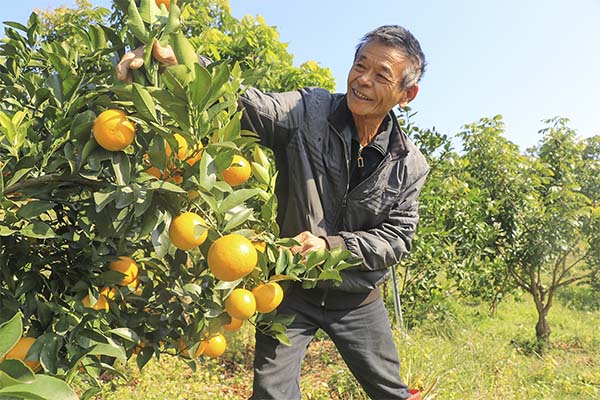 探访南向通道 聚焦美丽钦州