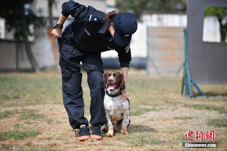 昆明铁路警方的训犬警花