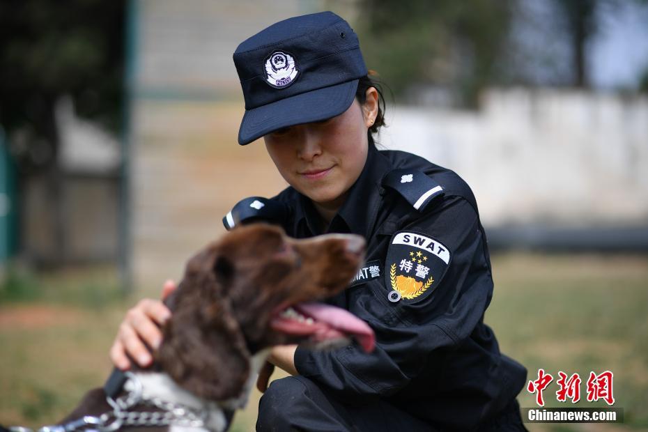 昆明铁路警方的训犬警花