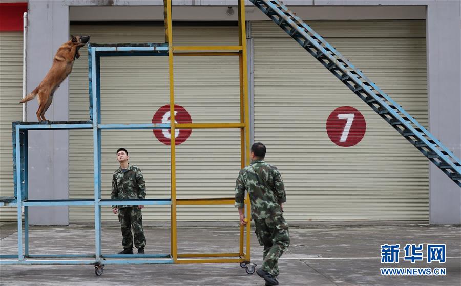 汶川地震幸存者蒋雨航：重生后，我就成了你