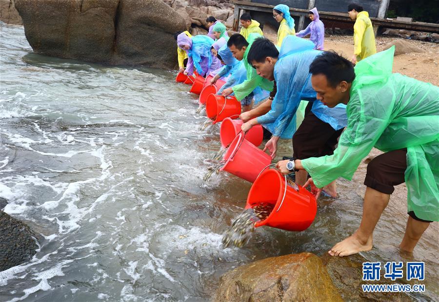 世界海洋日：保护和可持续利用海洋