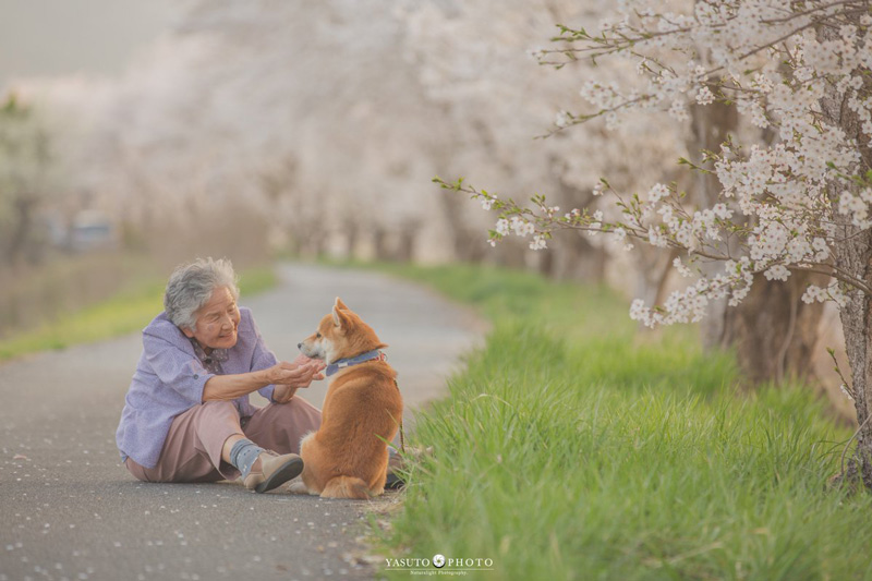 竹中康人：花海中我的祖母