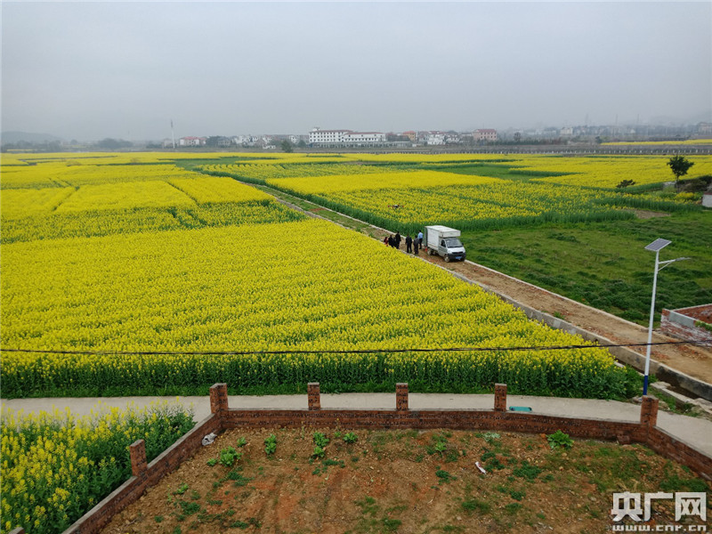 镜见莲花：无人机巧助贫困户解难题