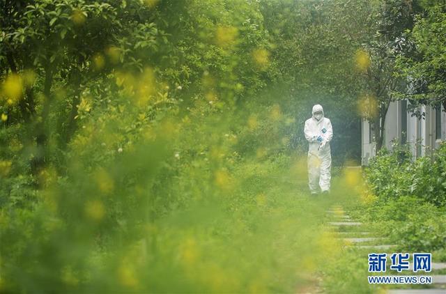 医疗废物处置人员：特殊战场战病毒