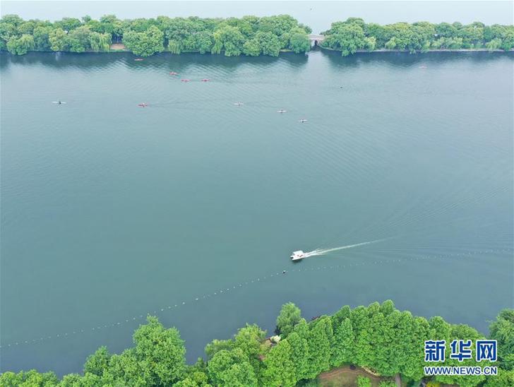 西湖初夏