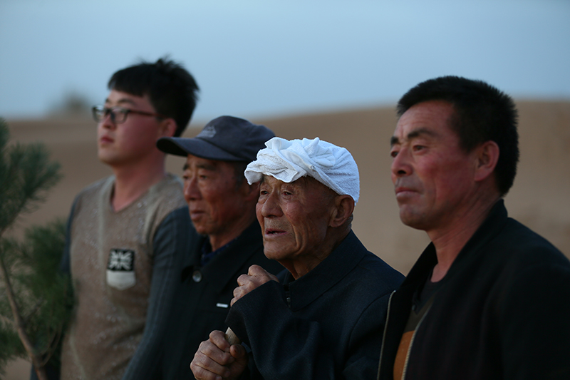 行走在毛乌素治沙路上