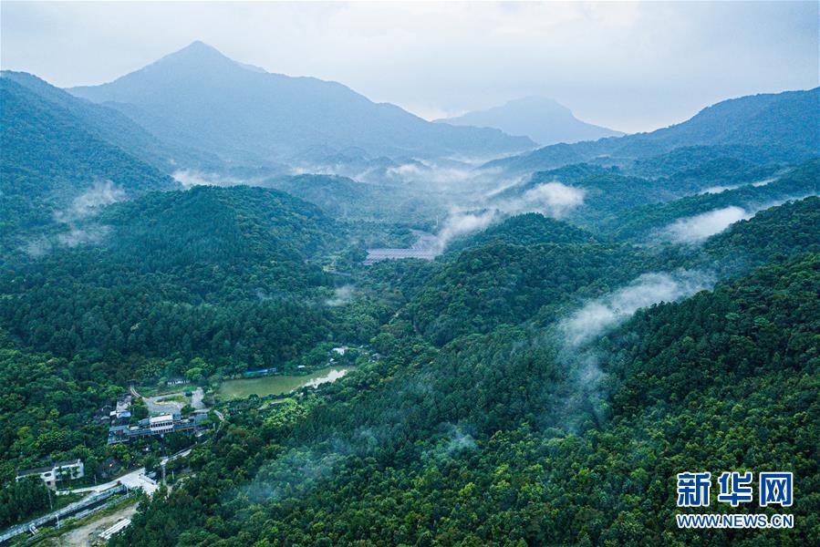 探访海南热带雨林国家公园