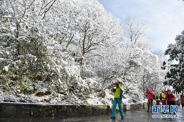 雪情雪景