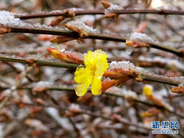 北京降春雪