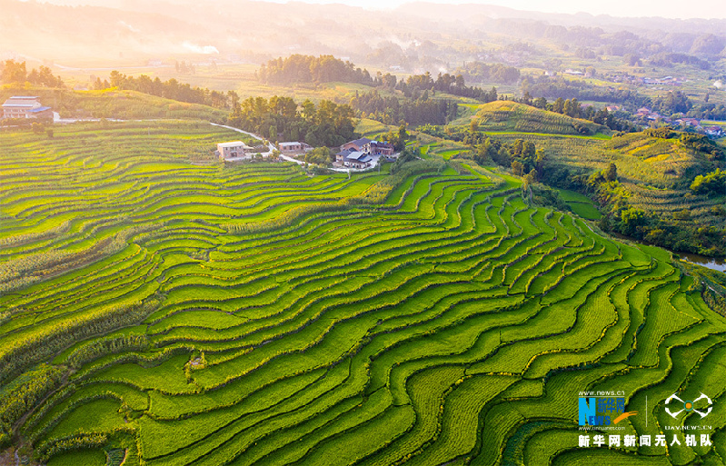 【“飞阅”中国】航拍重庆盐井梯田 俯瞰夏日田园美景