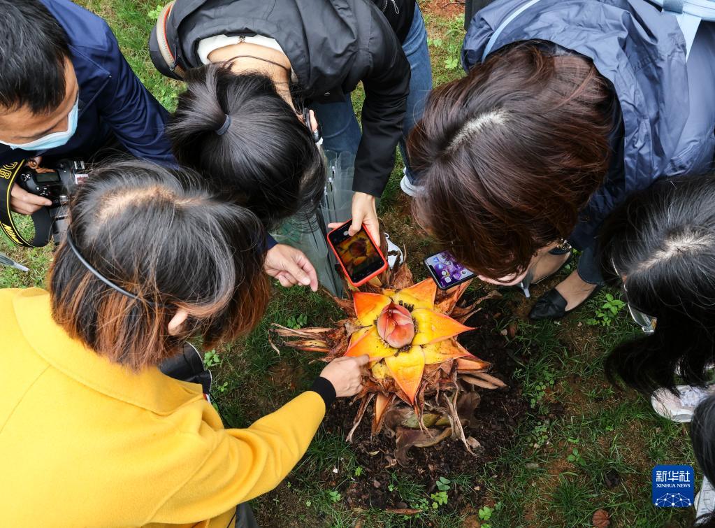 摄影师带你探访昆明植物园“扶荔宫”