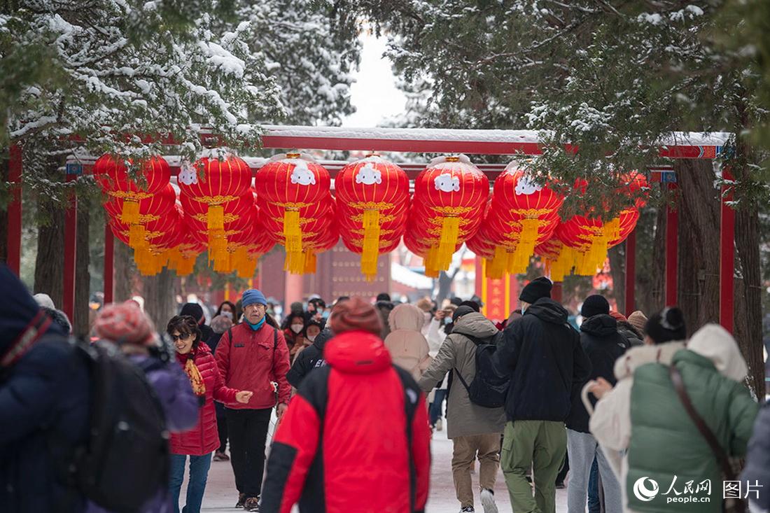 2月13日，在景山公园，被白雪覆盖的红灯笼犹如“雪容融”。人民网记者翁奇羽摄