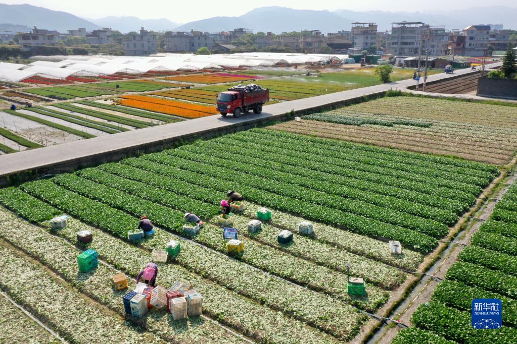 新华全媒+丨大地调色板 俯瞰春耕如画