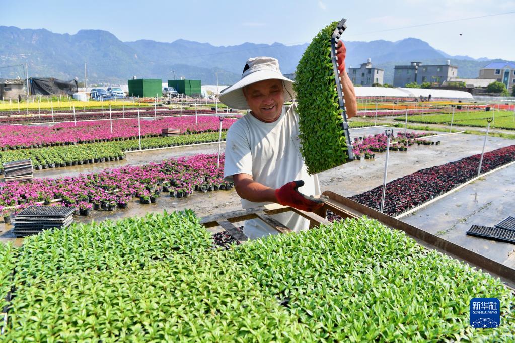 新华全媒+丨大地调色板 俯瞰春耕如画