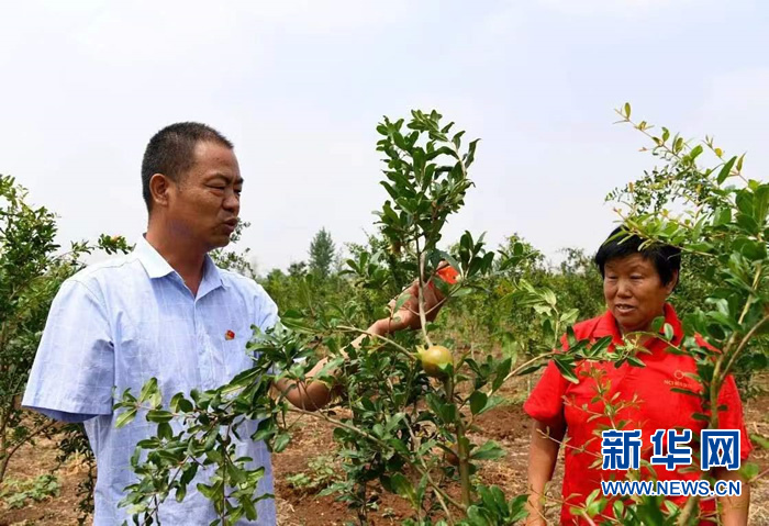 李健当选“出彩河南人”感动中原年度人物