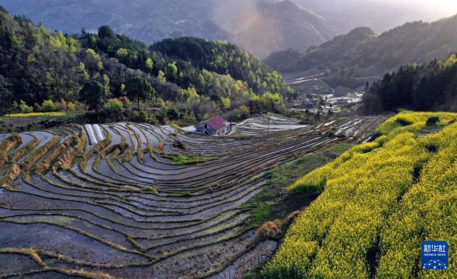 陕西岚皋千亩古梯田探访记