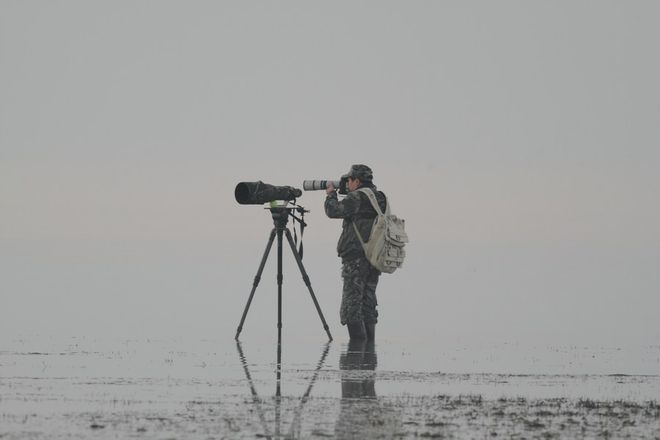 “江豚卫士”：一位中国生态摄影家的十年坚守