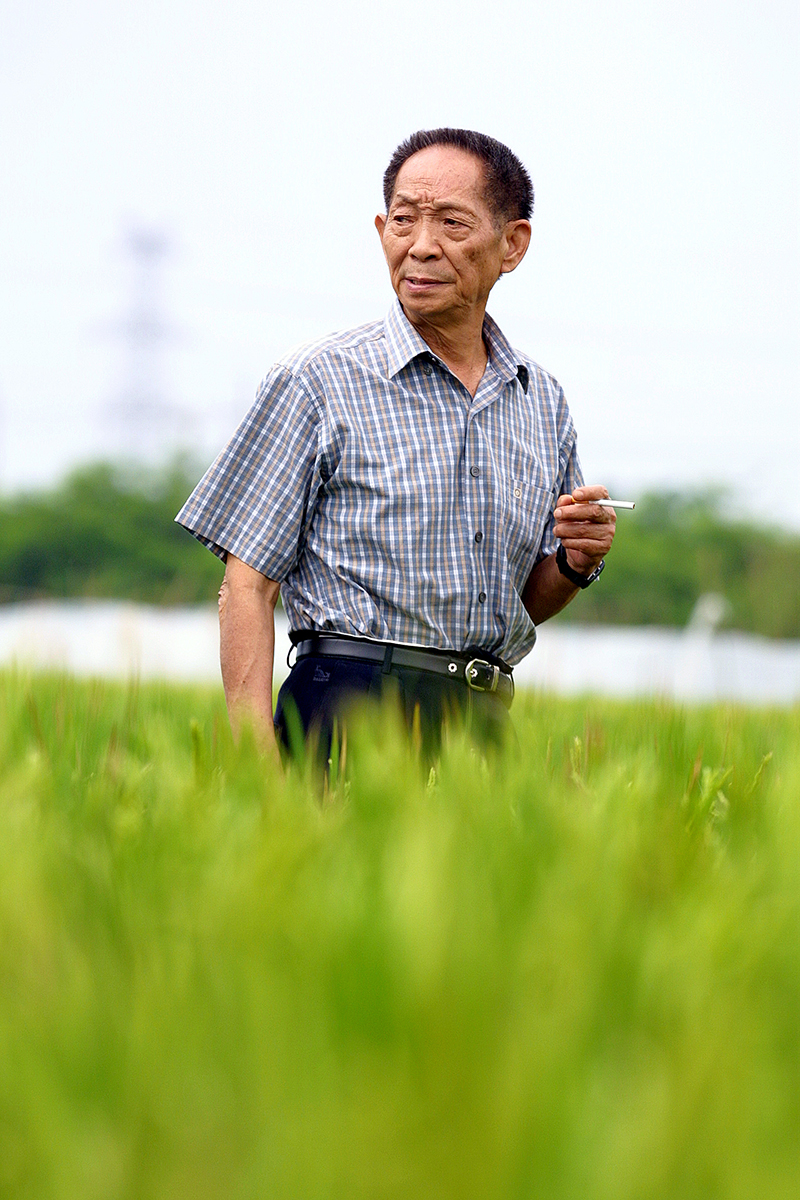 怀念“孩子王”袁隆平