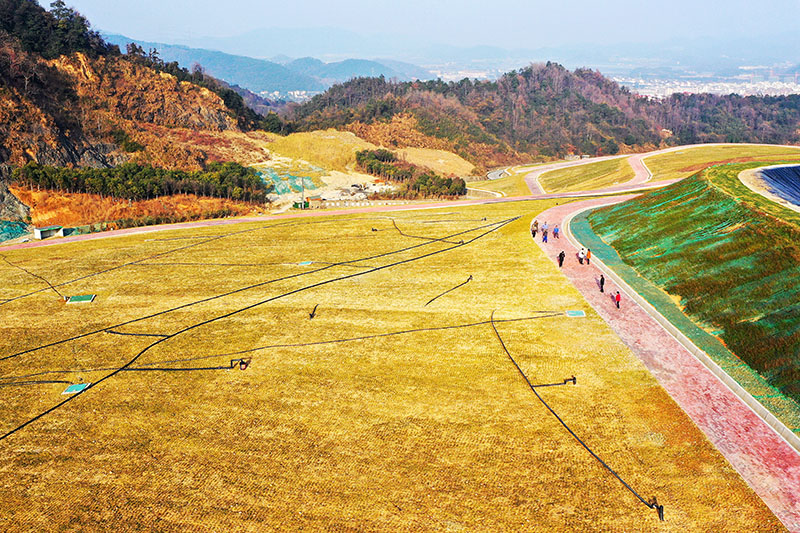 12年跟拍一项生态修复工程：昔日填埋场，今日大花园