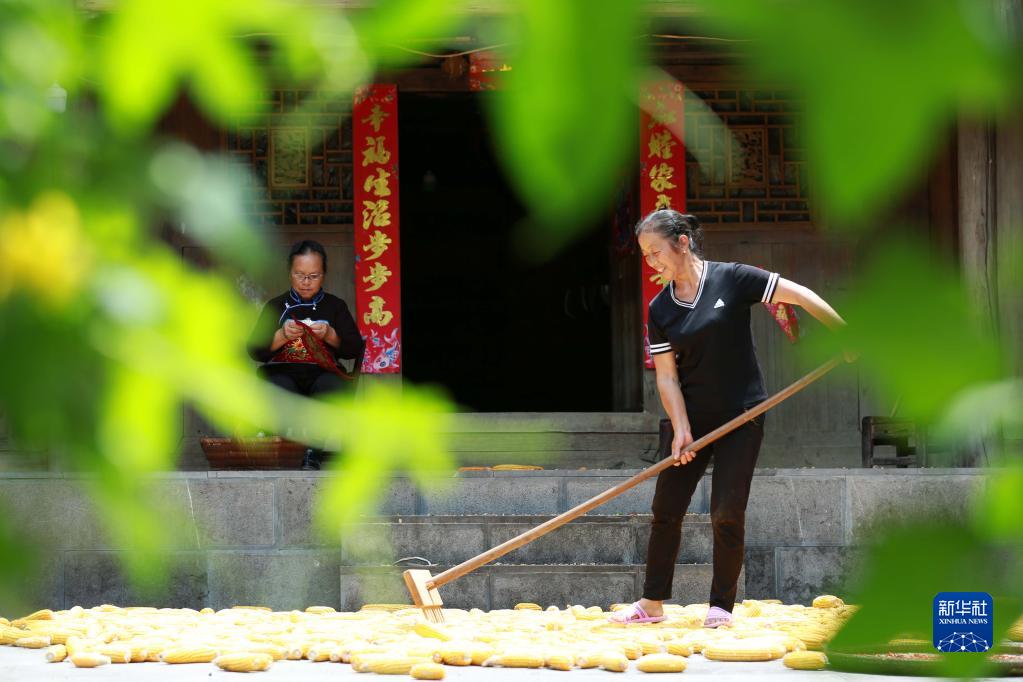 新华全媒+丨贵州高原五彩缤纷的晒秋图