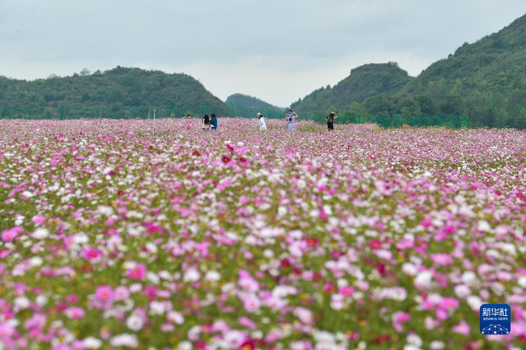 贵州花溪：农旅融合促振兴