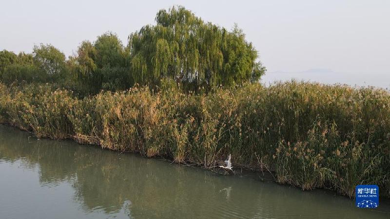 大美湿地城市丨合肥