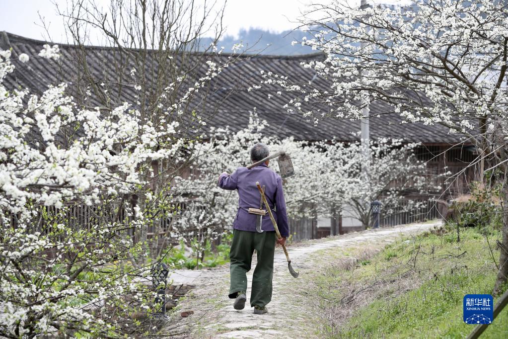 花开古村