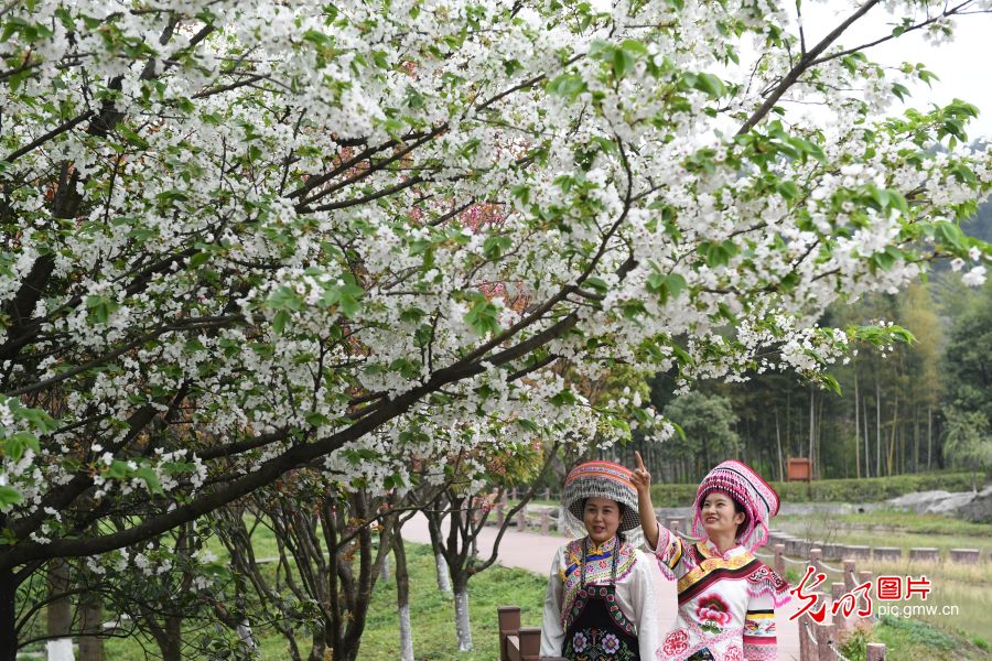 重庆万盛：石林风光奇特 吸引游客参观