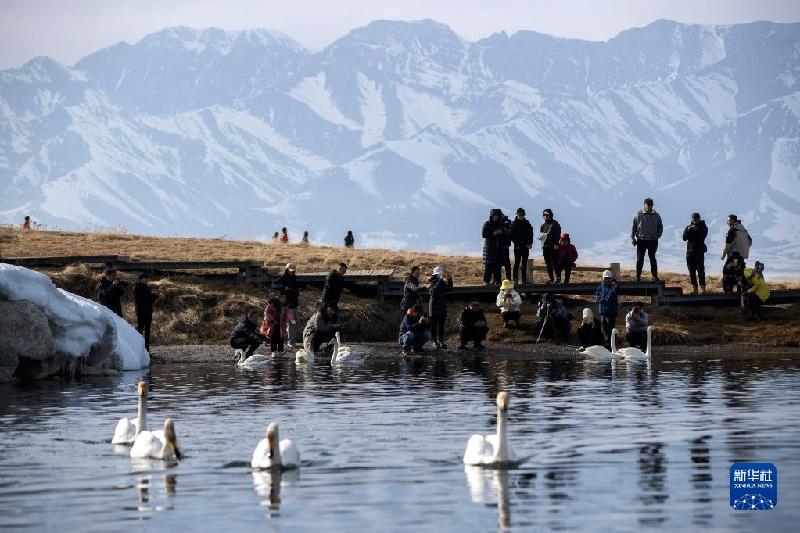 国道之行 从雪山奔向大海丨在赛里木湖邂逅蓝色“眼泪”