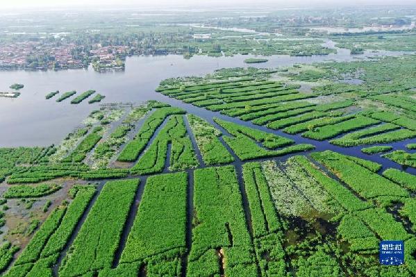 新华全媒+｜天空之眼瞰雄安：拔地而起的“未来之城”