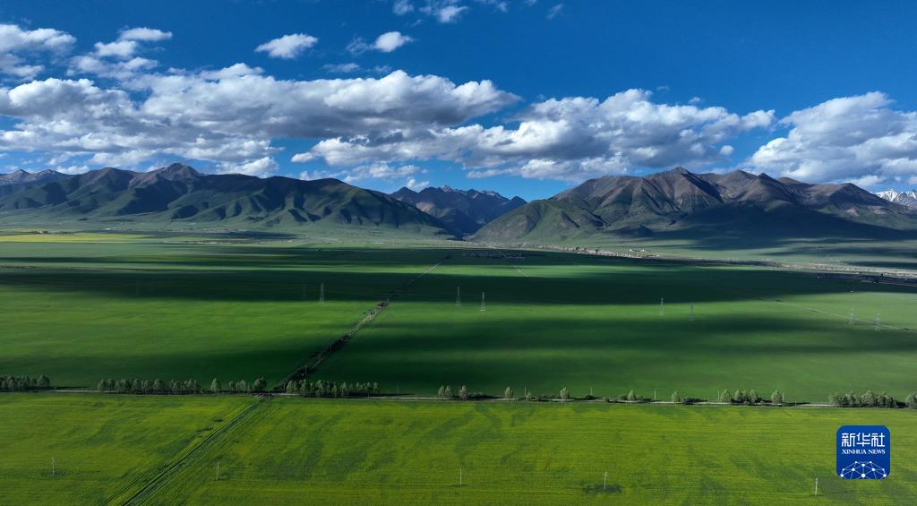 美丽中国丨祁连山之夏