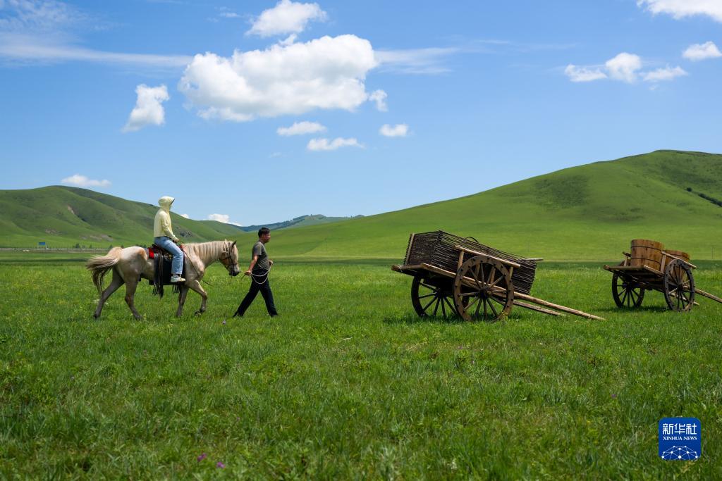 四季中国｜四季牧歌：乌兰毛都草原的“夏日牧歌”