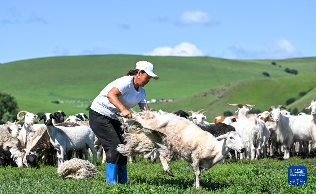 四季中国｜四季牧歌：乌兰毛都草原的“夏日牧歌”