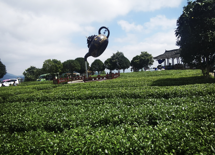 广西柳州：茶香侗情 景色迷人