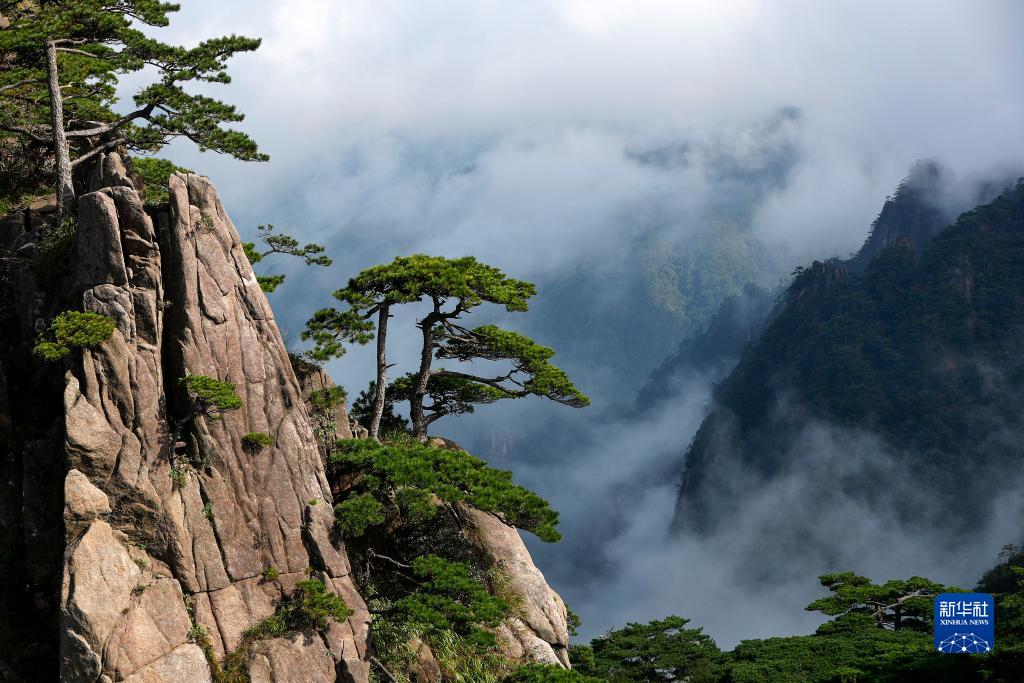 美丽中国｜安徽黄山：奇峰云海