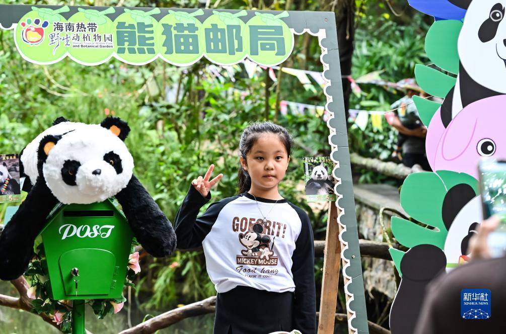 海口：庆祝“熊猫兄弟”登岛五周年