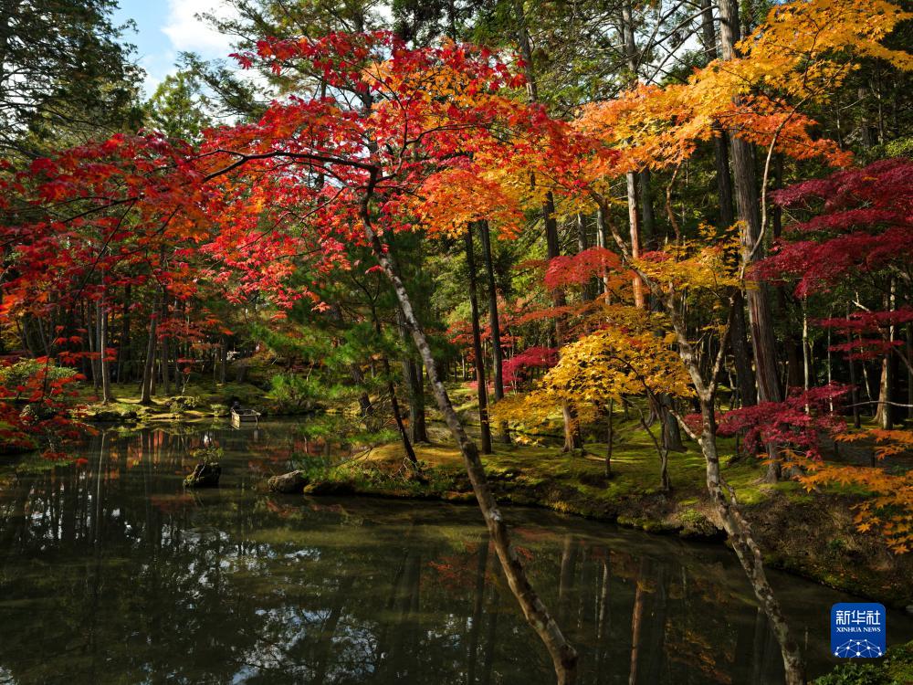 红叶满京都