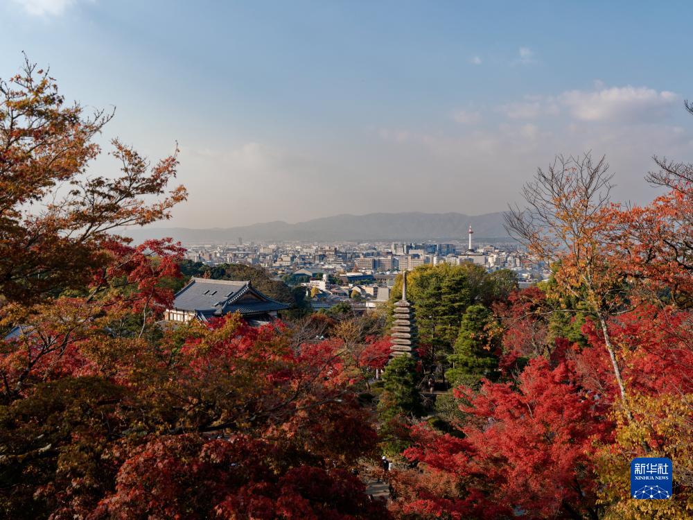 红叶满京都