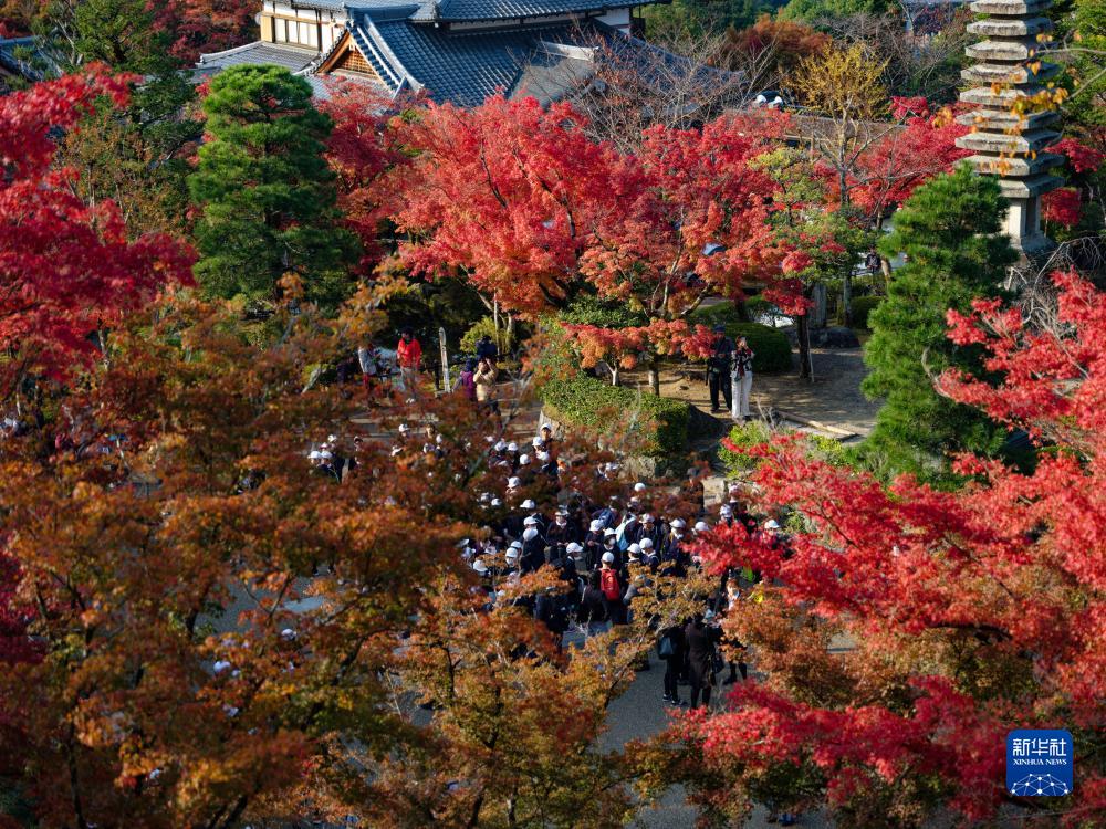 红叶满京都