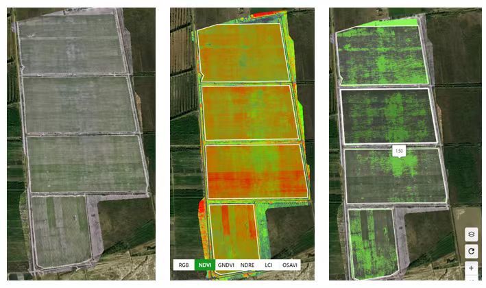 多光谱无人机成农业新神器，如何造福小农户？