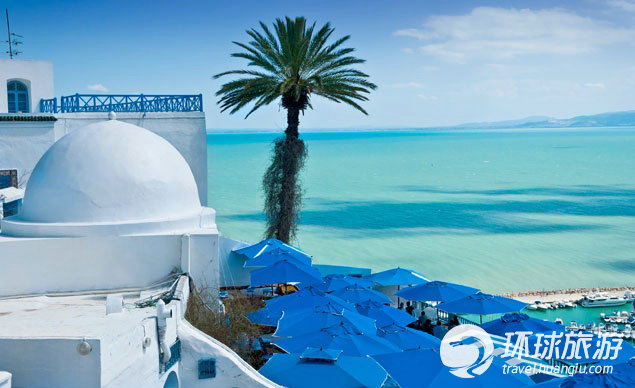 突尼斯湾的深蓝色为西迪布萨德（Sidi Bou Said）纯白色的建筑做了完美的背景。