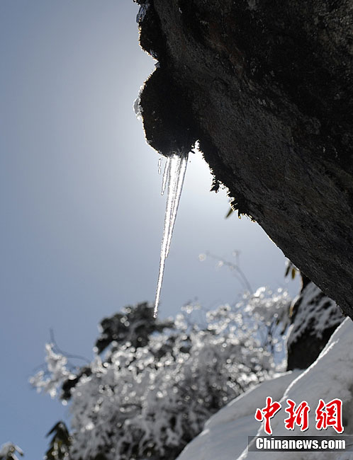 四川海螺沟冰川现春日美景