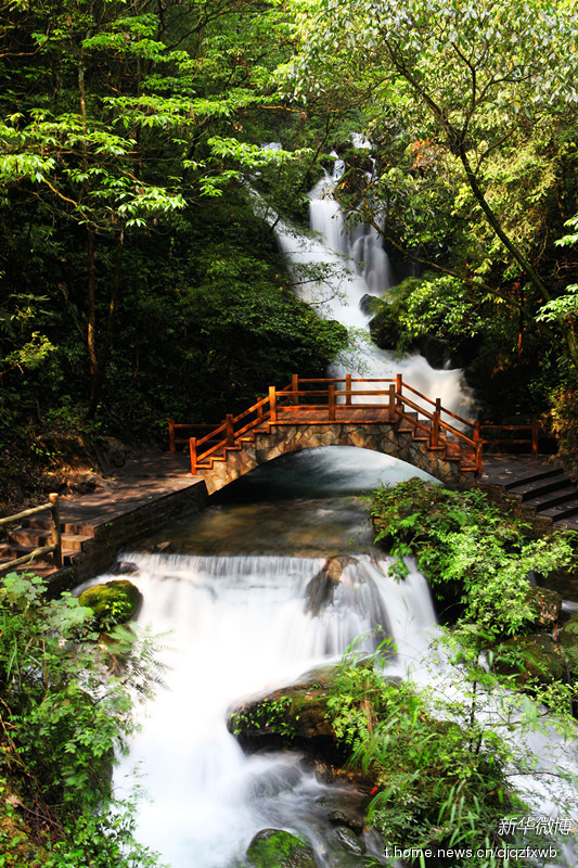 綦江 黑山谷枫香桥